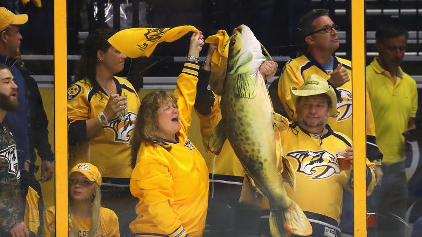 Auch bei den Fans der "Nashville Predators" ist der Wels ein beliebtes Maskottchen. Eigentlich steht ein Säbelzahntiger namens "Gnash" für den in der US-amerikanischen Profiliga antretenden Eishockey-Verein, doch viele Anhänger schwenken auch Plüsch-Versionen des "Catfishs". Der Wels ist quasi ein Symbol für den Underdog-Status des Teams, denn ähnlich wie dieser Fisch, der seine Nahrung vom Grund aufsammelt, rollen die "Nashville Predators" oft das Feld von hinten auf und qualifizieren sich erst auf den letzten Drücker für die Play-offs. Zwischendurch werfen die begeisterten Fans auch mal einen echten Wels auf die Eisfläche, obwohl das eigentlich streng verboten ist.