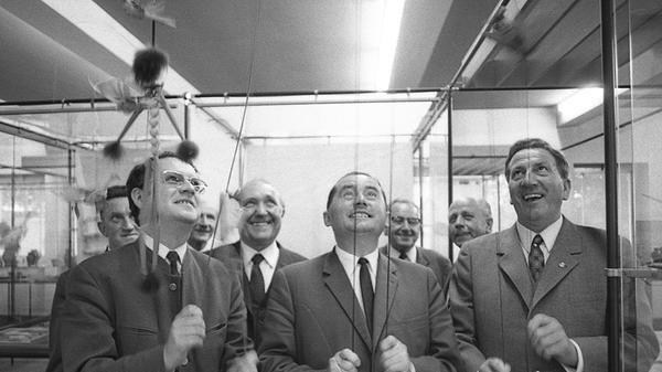 Abgeordnete lassen die Puppen steigen: Friedrich Weißkopf, Wilhelm Winkler, Konrad Frühwald und Bernhard Forster (vorne v.l.n.r.) ziehen in der Exportschau an den Strängen. Die Sicherheitsvorkehrungen an der Steintribüne werden bereits in die Tat umgesetzt. Hier geht es zum Artikel vom 27. Juni 1969: "Landeshilfe erbeten"