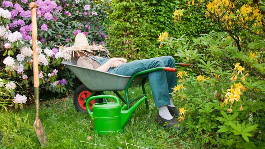 Bei aller Arbeit vergessen Sie auf keinen Fall: Genießen Sie auch mal Ihren Garten! Denn jetzt ist die schönste Zeit dazu. Wenn die Tage noch lang sind und warm, erlauben Sie sich ruhig eine Pause im Freien. Dazu Hängematte aufhängen, Sitzsack raus oder in der Schubkarre schlafen legen.   