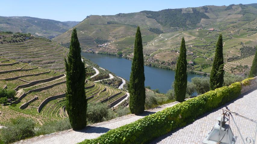 Weinberge über dem Fluss Douro im Inland auf dem Gut des Portweinherstellers Sandemann. In dieser Region wachsen neun von insgesamt elf Weinsorten Portugals.