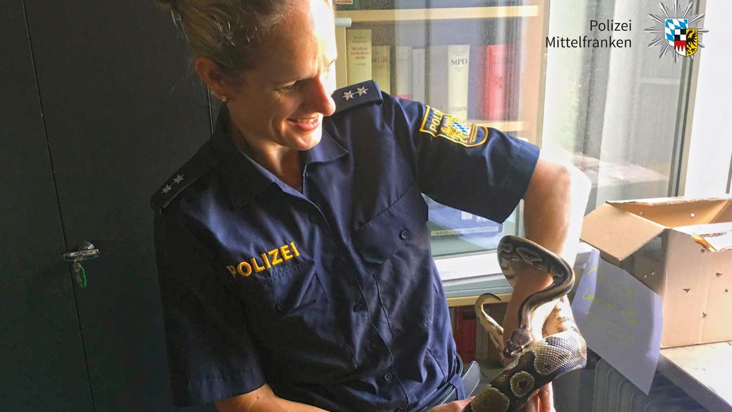 Polizei Zirndorf löst Rätsel um ausgebüxte Python