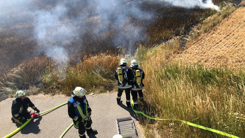 Drei Hektar Acker in Flammen: 50 Feuerwehrleute im Einsatz