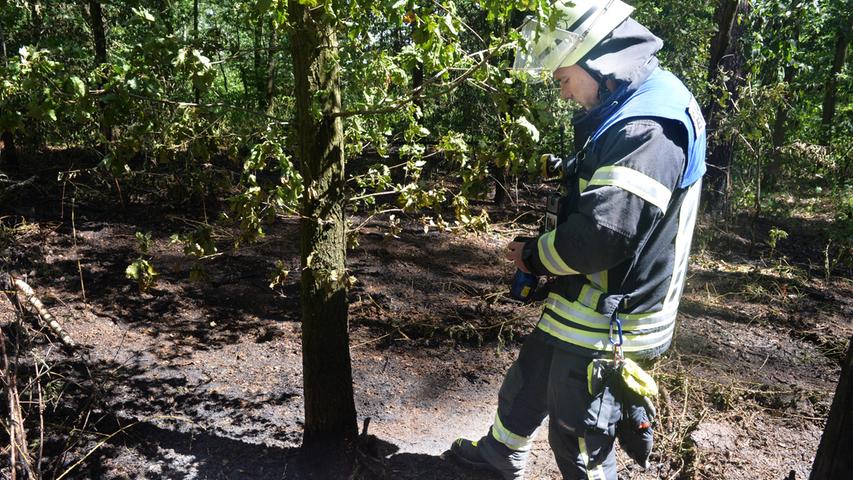 Drei Feuerwehren bei Waldbrand zwischen Kosbach und Häusling im Einsatz