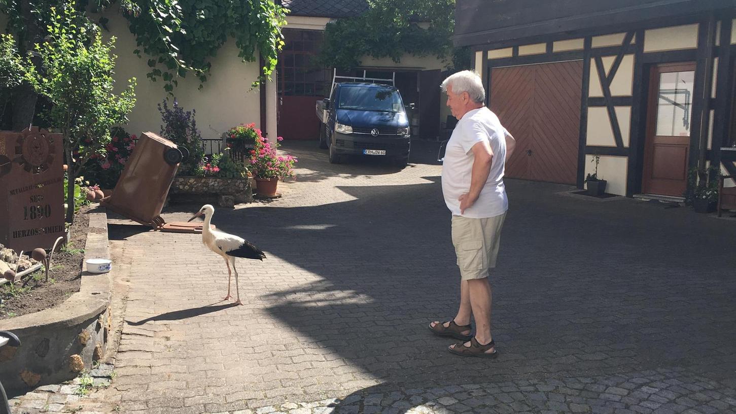 Storch besucht Schmied in Herzogenaurach