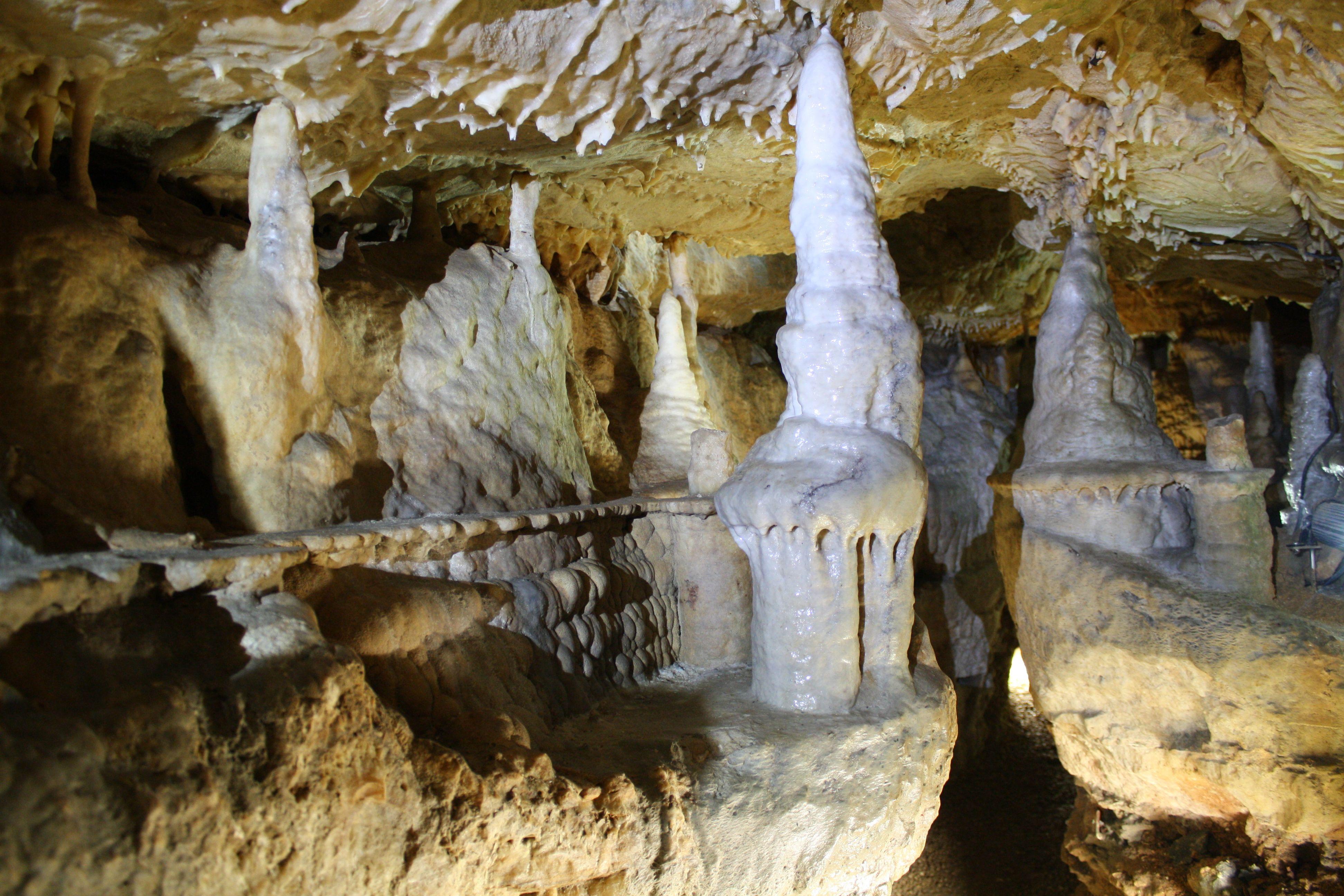 <p>Die Binghöhle bei Streitberg im Landkreis Forchheim gilt seit ihrer Sanierung im Jahr 2005 als eine der schönsten Schauhöhlen Deutschlands. Sie wurde einst von einem Zubringer der Wiesent durchflossen und ist heute eine trocken liegende Flusshöhle. <strong>Die Binghöhle ist von Anfang April bis Ende November für Besucher geöffnet.</strong></p>
