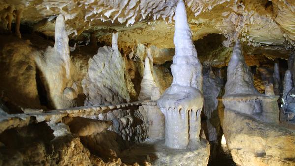 <p>Die Binghöhle bei Streitberg im Landkreis Forchheim gilt seit ihrer Sanierung im Jahr 2005 als eine der schönsten Schauhöhlen Deutschlands. Sie wurde einst von einem Zubringer der Wiesent durchflossen und ist heute eine trocken liegende Flusshöhle. <strong>Die Binghöhle ist von Anfang April bis Ende November für Besucher geöffnet.</strong></p>