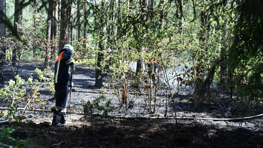 Vermutlich Glasscherben: Brand am Baggersee in Sengenthal