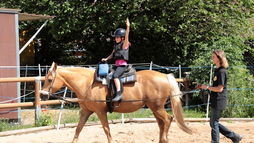 Reiten in Pautzfeld: Harmonie von Mensch und Pferd
