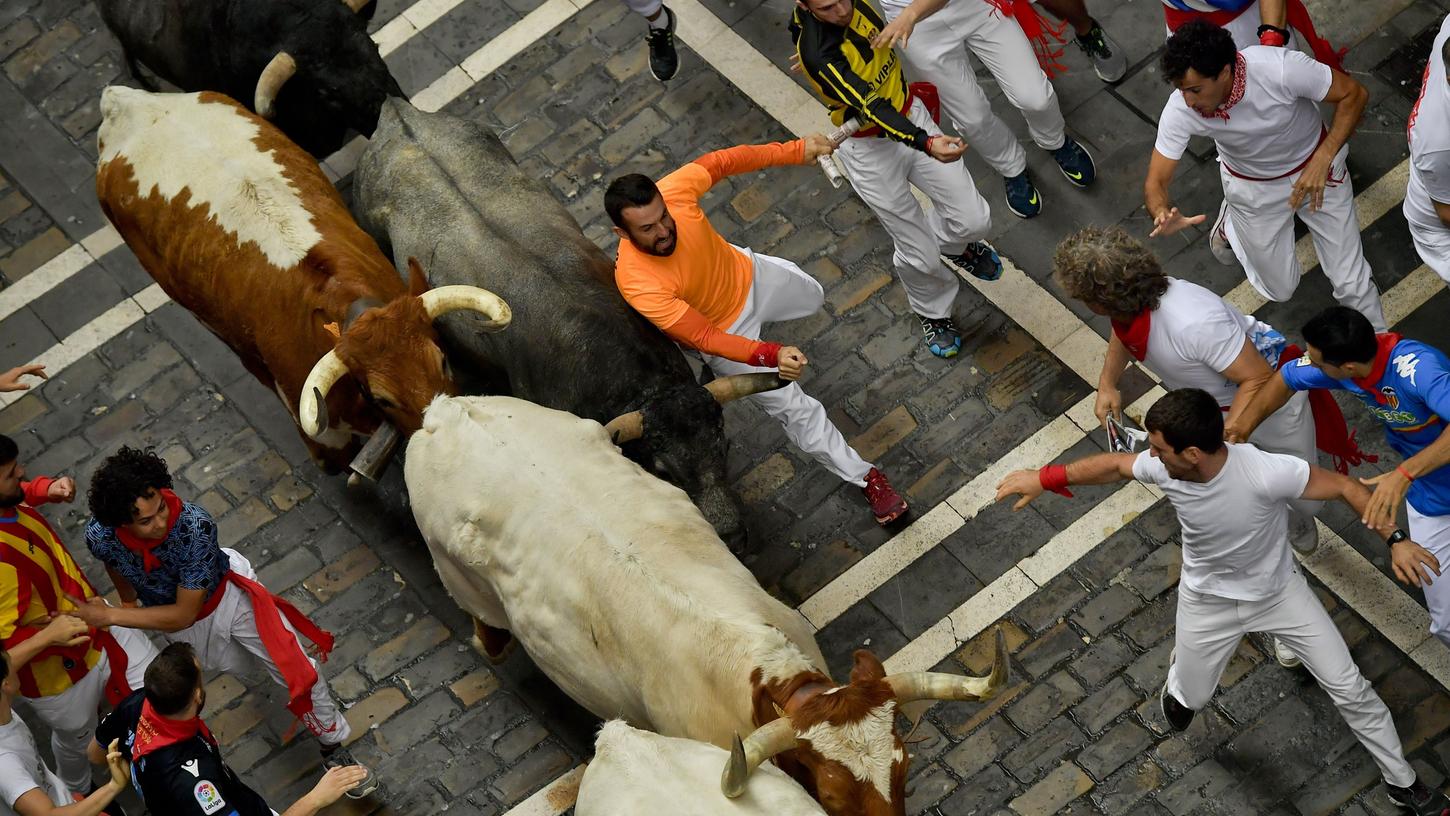 Teilnehmer der Stierhatz laufen neben Kampfstieren durch die Gassen der Altstadt. Jährlich kommen Touristen und Teilnehmer zu dem traditionellen San Fermin Festival.