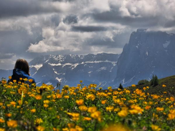 Blick über eine Blumenwiese auf die Sellagruppe. Mit dem Gipfel in Wolken der Langkofel, dann die Langkofelscharte, die Fünffingerspitze und, ebenfalls in den Wolken - der Plattkofel. Blick über eine Blumenwiese auf die Sellagruppe. Mit dem Gipfel in Wolken der Langkofel, dann die Langkofelscharte, die Fünffingerspitze und, ebenfalls in den Wolken - der Plattkofel.