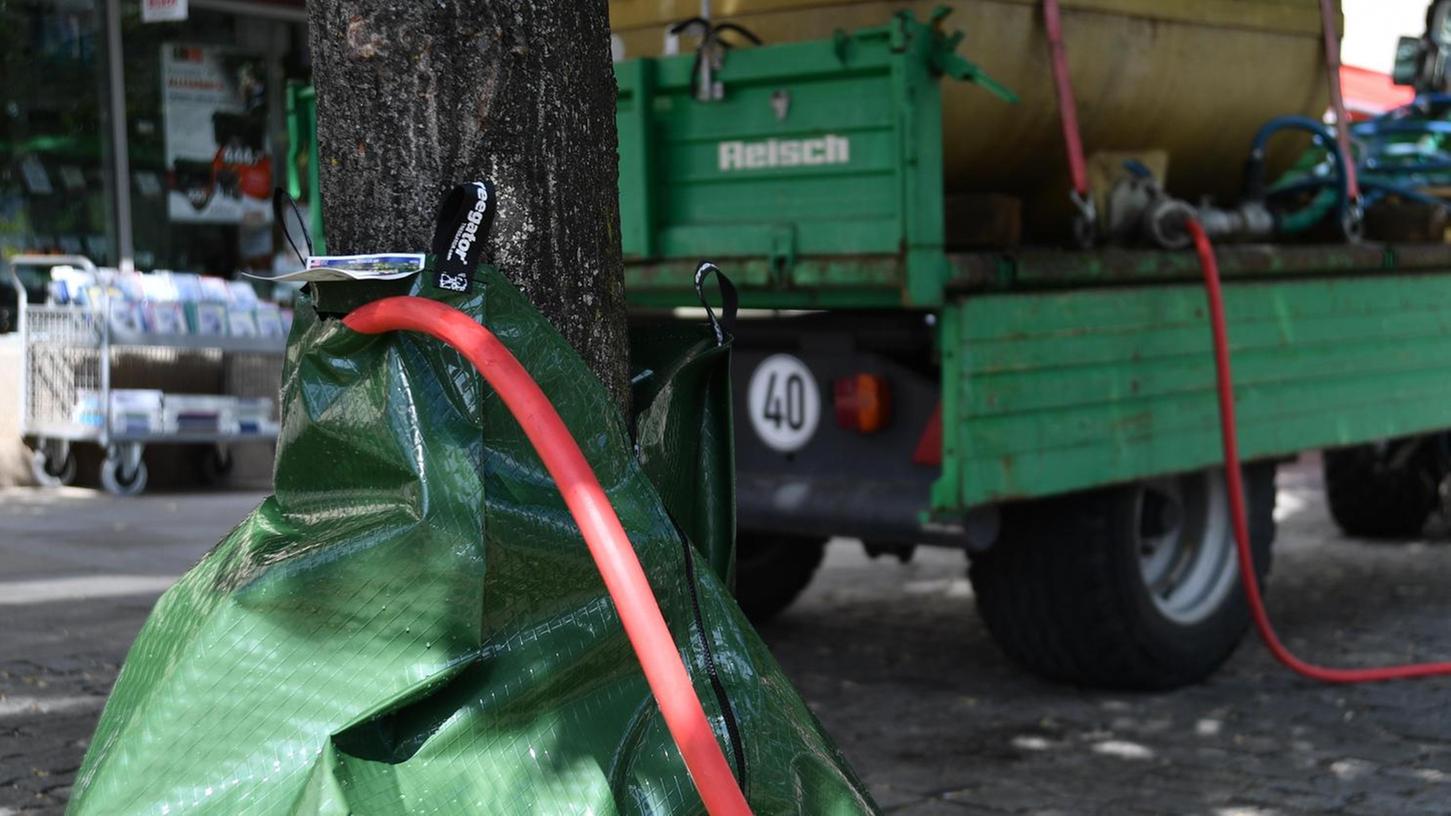 Neumarkt will Straßenbäume mit Landregen aus dem Beutel retten