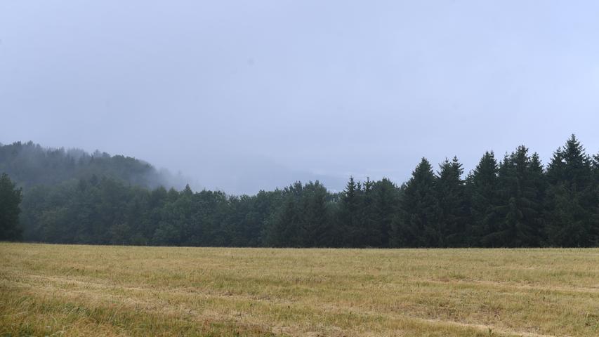 Der Wolfstein im Nebel