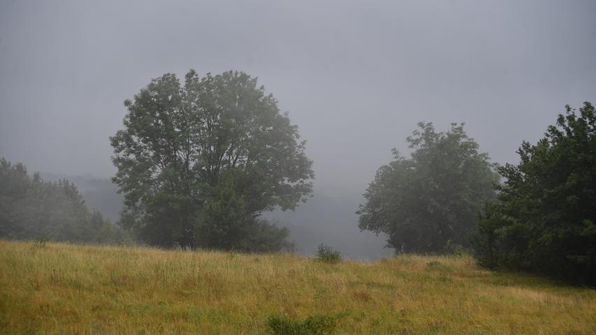 Der Wolfstein im Nebel