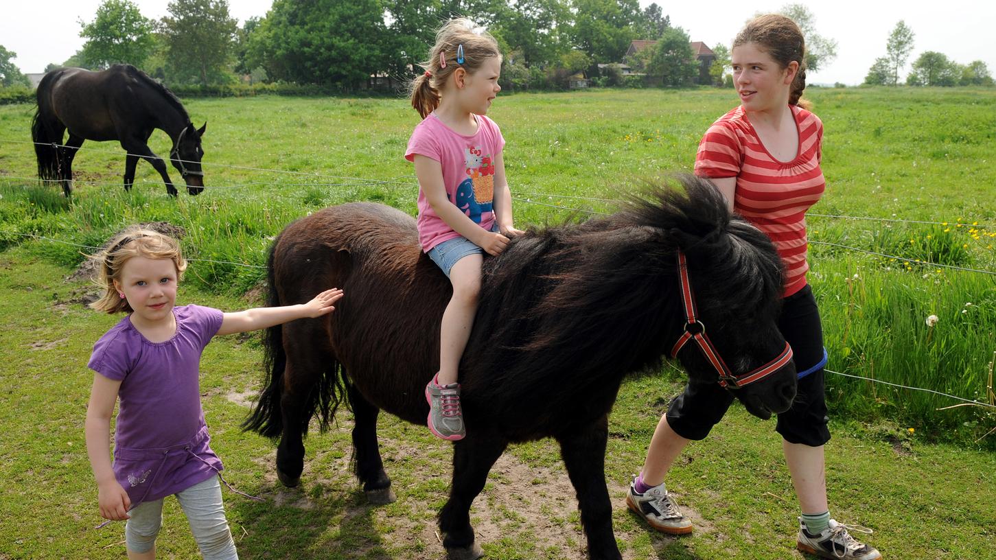 Auf dem Rücken eines Ponys können Kinder spielerisch erste Reitversuche wagen.