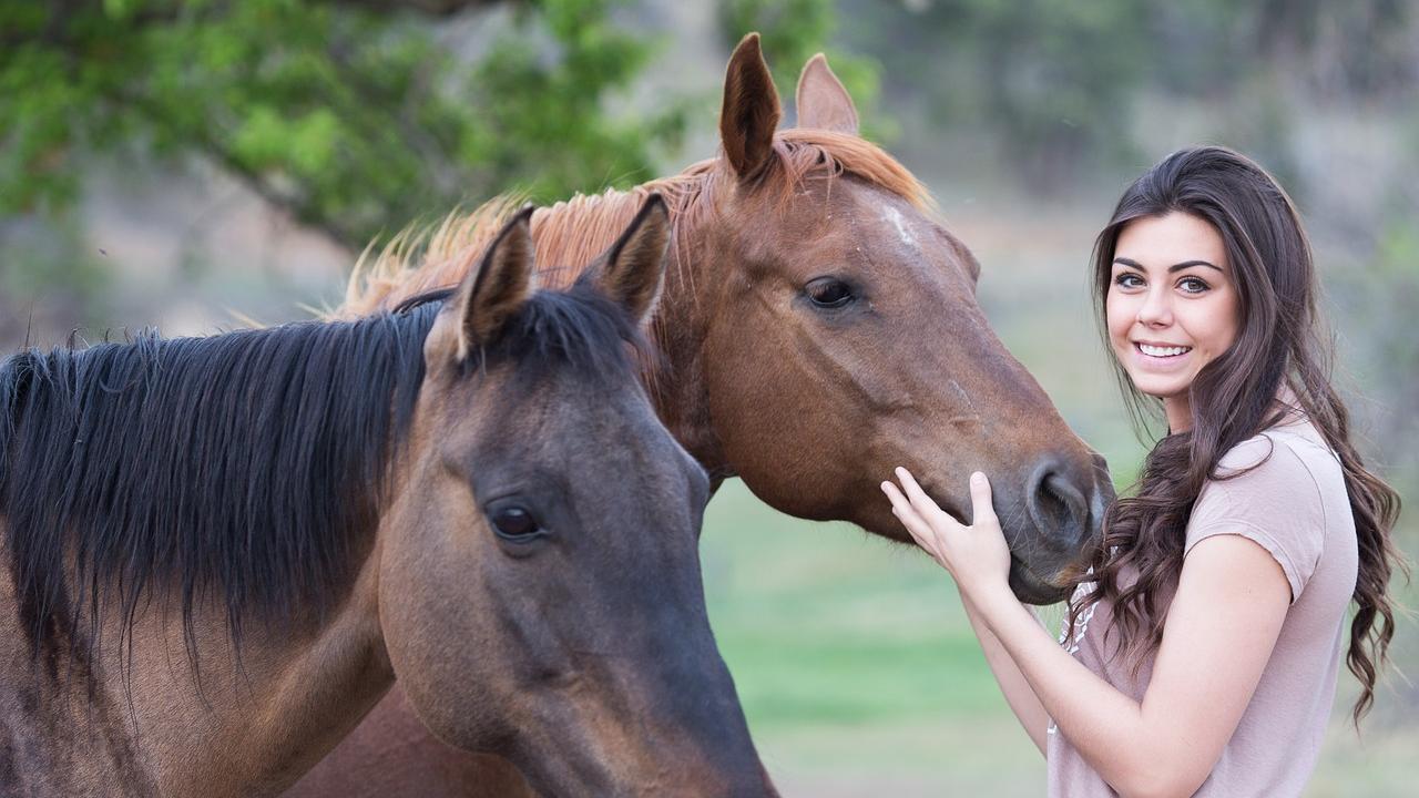 Reitsport-Quiz: Sind Sie ein echter Pferdekenner?