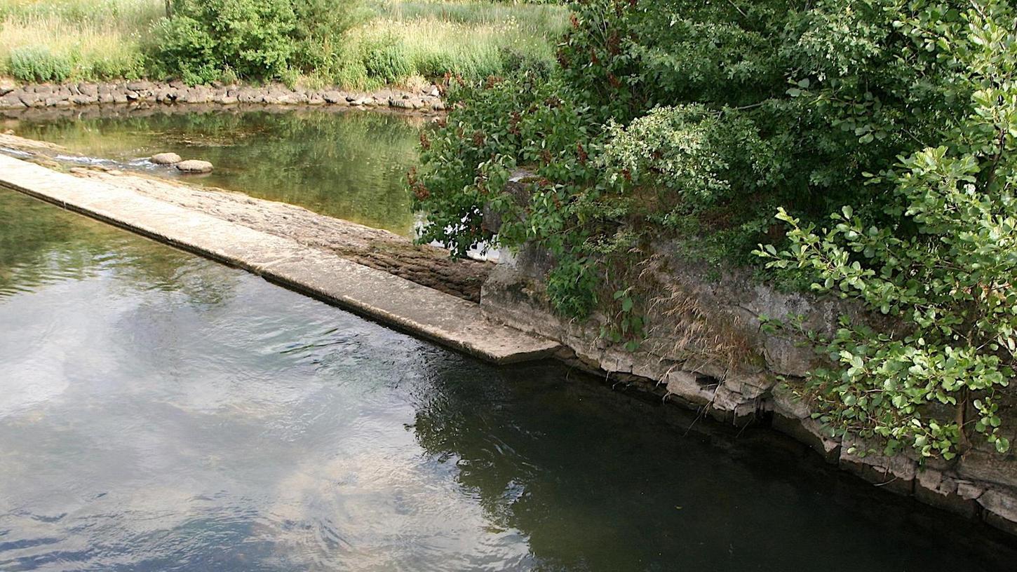 Fischsterben: Sorge um Wiesent-Pegel in Fränkischer Schweiz