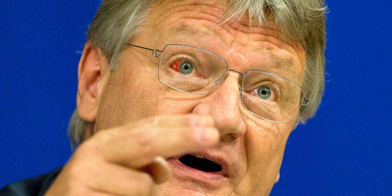 Meuthen kritisiert Beobachtung der Identitären Bewegung