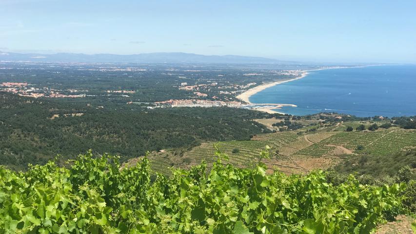 Ein gutes Stück oberhalb von Argelès-sur-Mer hat Peirre-Jean einen alten Weinberg gekauft. Er liebt den Blick über die Reben hinab auf die Weite rund um Argelès-sur-Mer.