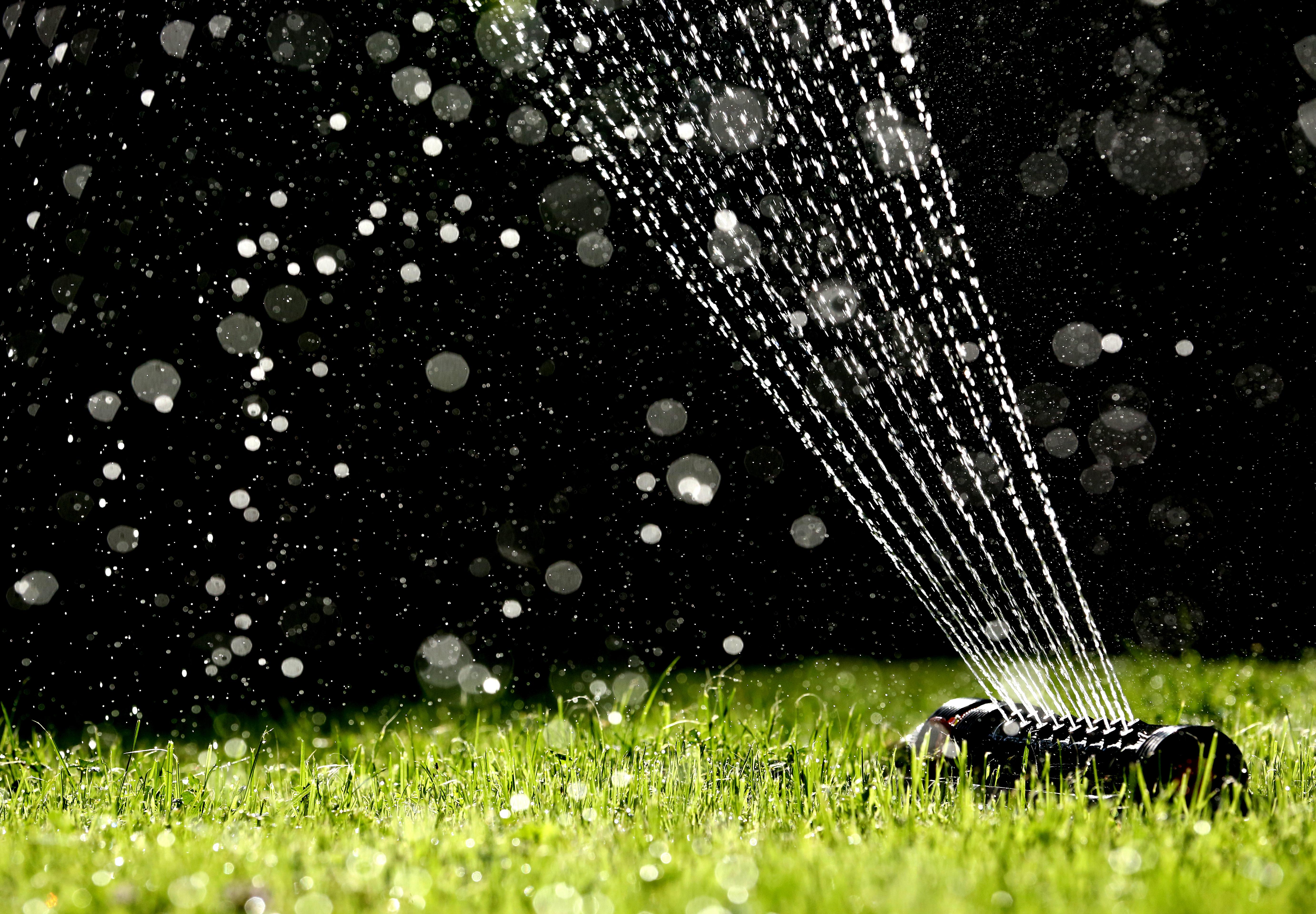 Der späte Frühling ist ebenso der ideale Zeitraum, um Rasen auszusäen. Besonders der Mai mit seiner warmen, feuchten Witterung ist günstig, um kahle Stellen im Rasen mit einer Nachsaat zu schließen oder um eine neue Blumenwiese anzulegen. Der Boden ist schon angewärmt und feucht, um die keimenden Samen mit Wasser zu versorgen. Säen Sie am besten an einem windstillen Tag! Auf jeden Fall sollte der Gartenbesitzer die neu angesäten Stellen so lange sanft beregnen, bis das junge Grün austreibt. Bis zum Herbst bilden die Gräser dann eine dichte Decke und kommen so gut durch den Winter.