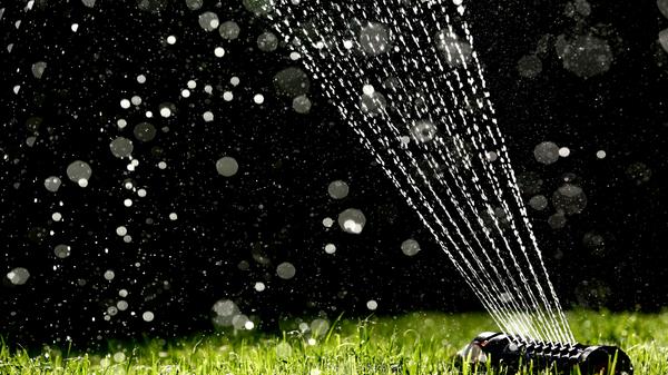 Der späte Frühling ist ebenso der ideale Zeitraum, um Rasen auszusäen. Besonders der Mai mit seiner warmen, feuchten Witterung ist günstig, um kahle Stellen im Rasen mit einer Nachsaat zu schließen oder um eine neue Blumenwiese anzulegen. Der Boden ist schon angewärmt und feucht, um die keimenden Samen mit Wasser zu versorgen. Säen Sie am besten an einem windstillen Tag! Auf jeden Fall sollte der Gartenbesitzer die neu angesäten Stellen so lange sanft beregnen, bis das junge Grün austreibt. Bis zum Herbst bilden die Gräser dann eine dichte Decke und kommen so gut durch den Winter.