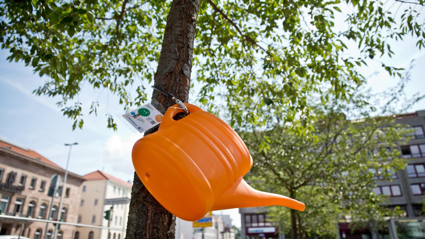 Die Stadt sucht händeringend nach Freiwilligen, die Nürnbergs Bäume regelmäßig bewässern. 