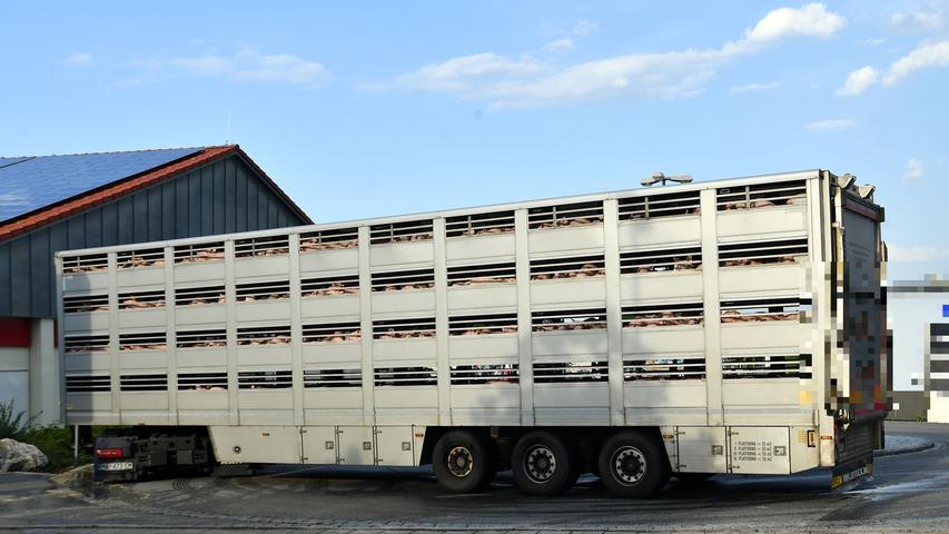 Polizei stoppt überhitzten Tiertransporter auf A3 bei Nürnberg