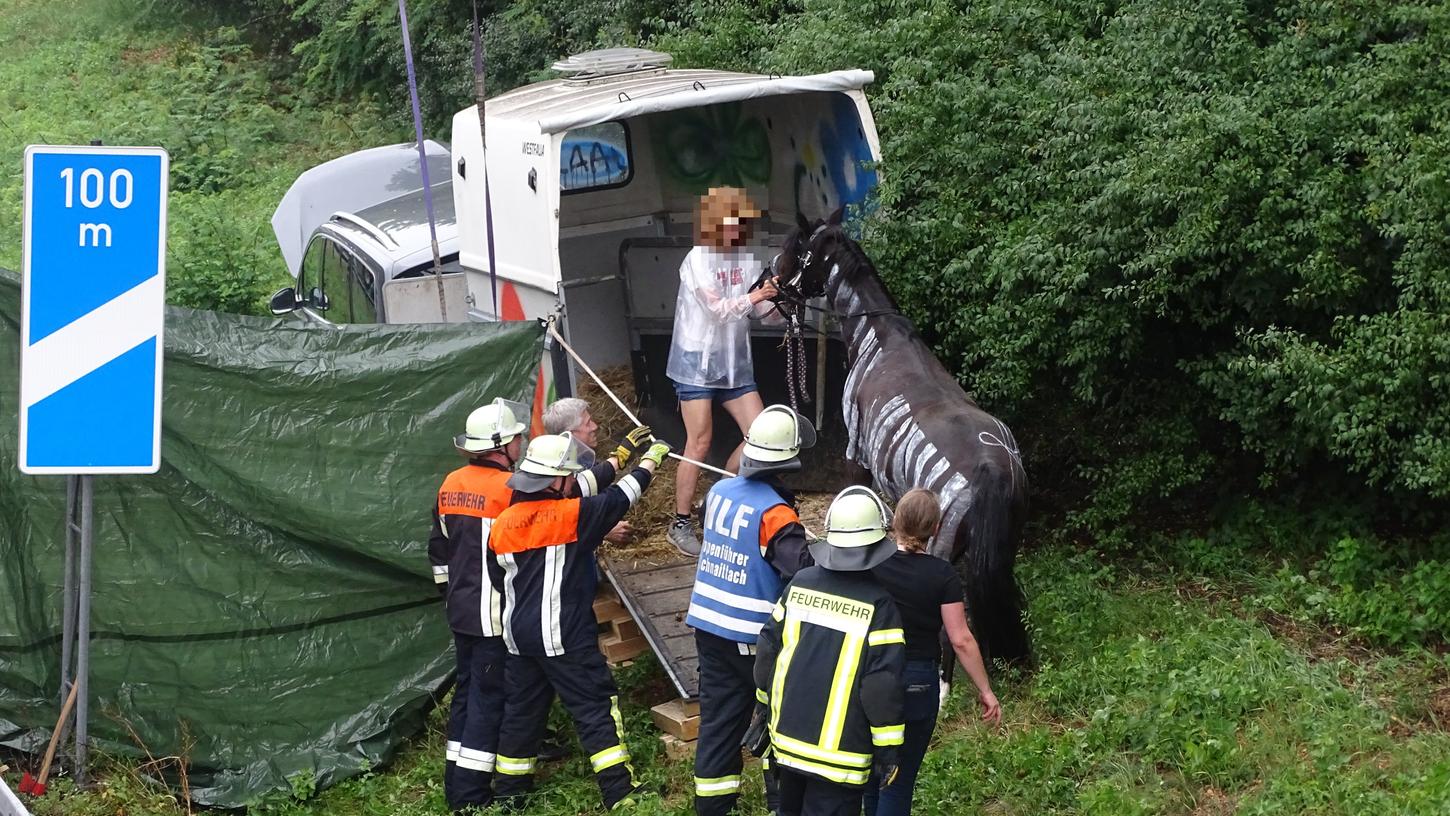Weil ein Seat mit Pferde-Anhänger von der A9 abkam, trat am Sonntagnachmittag eine umfassende Rettungsaktion inkraft.