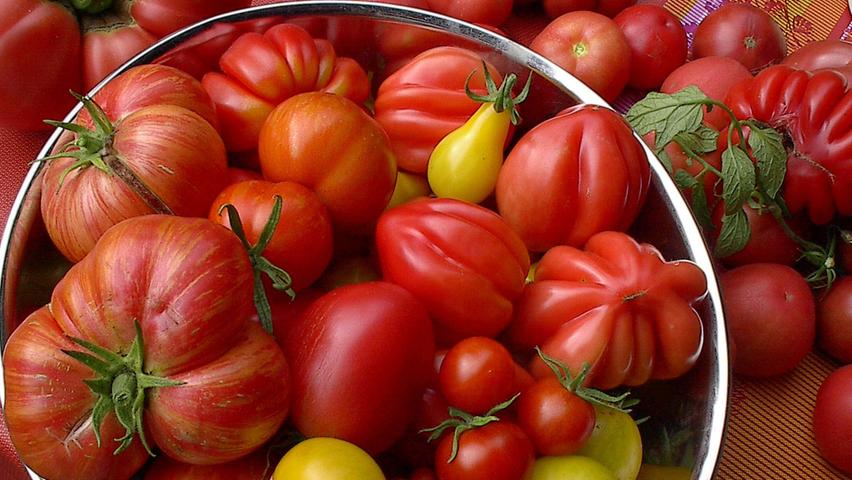 Noch ist die Ernte nicht zu Ende! Im Gemüsegarten hängen weiter gesunde Tomaten an den Stöcken. Sie reifen allerdings nicht mehr so schnell und der Geschmack lässt etwas nach. Auch die Zucchinis wachsen munter, so dass immer noch eine kleine Ernte zu erwarten ist. Den Paprikapflanzen hat die Hitze des Sommers gut getan, so dass sie viele Früchte tragen. Auch die Ernte von Obst ist längst in vollem Gange. Spätere Sorten reifen noch am Baum. Für Früchte und Gemüse gilt: Lassen Sie sie bis zum Schluss Sonne tanken, aber ernten Sie vor dem ersten Frost. Und: alle Pflanzen brauchen nun nicht mehr ganz so viel Wasser wie in den heißen Sommermonaten mit warmen Nächten. Man sollte sie auch nicht mehr mit Stickstoff düngen, sondern die Triebe ausreifen lassen.