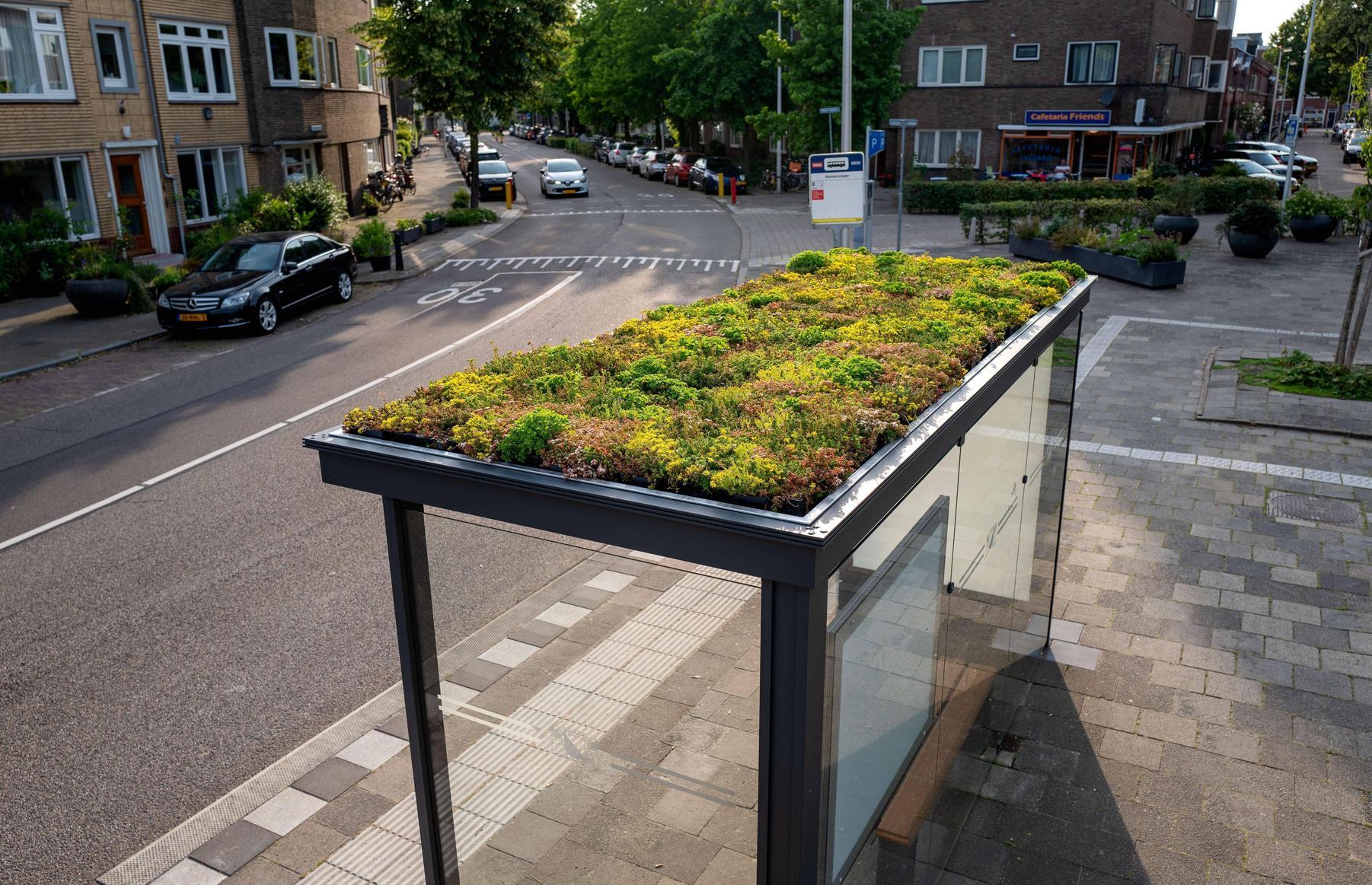 Bepflanztes Wartehäuschen in Utrecht