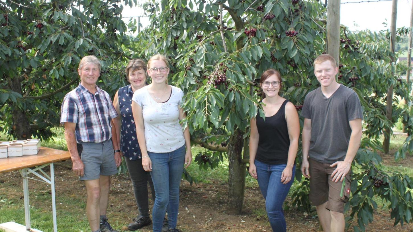 Lützelsdorf: Bei der Kirschen-Ernte hilft die ganze Familie