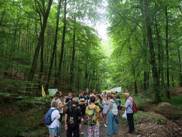 Im Rahmen eines Spaziergangs durch den Steigerwald versorgten Tim-Luca Rosenheimer und Joshua Wolf die rund 60 Anwesenden mit Informationen rund um die Notwendigkeit eines Nationalparks und die Problematik der aktuellen Forstpolitik. Im Rahmen eines Spaziergangs durch den Steigerwald versorgten Tim-Luca Rosenheimer und Joshua Wolf die rund 60 Anwesenden mit Informationen rund um die Notwendigkeit eines Nationalparks und die Problematik der aktuellen Forstpolitik.