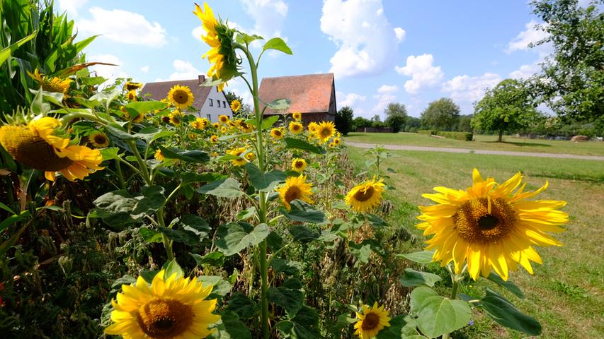 Blumengrüße aus Hinterbreitenthann.