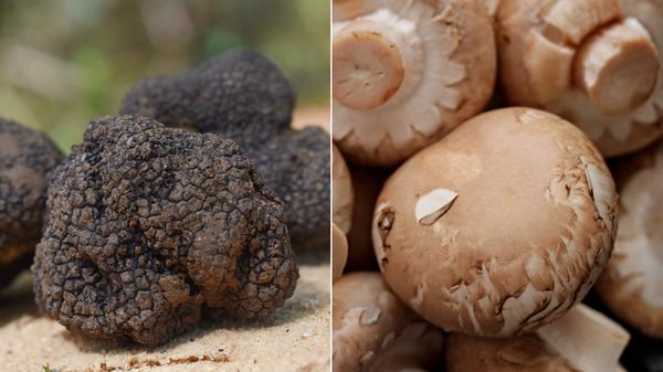 Dann doch lieber Luxusartikel. Für Trüffel zahlt man 7 Prozent Mehrwertsteuer. Bei Champignons (im Glas) sind es 19 Prozent.