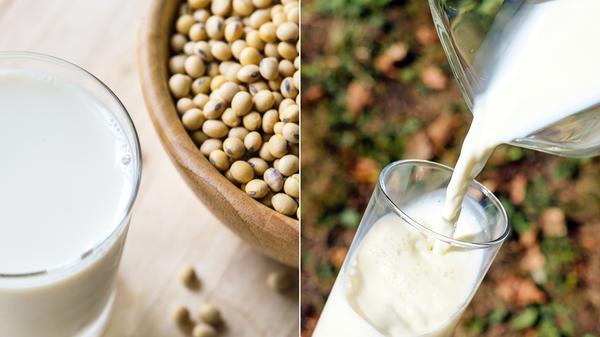 Veganer abgezockt: Einzig die Milch von der Kuh ist mit 7 Prozent Mehrwertsteuer versehen. Sojamilch ist mit 19 Prozent besteuert.