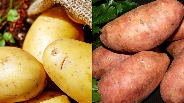 Wie bizarr: Die Mehrwertsteuer bei Kartoffeln beträgt 7 Prozent, bei Süßkartoffeln sind es 19 Prozent.