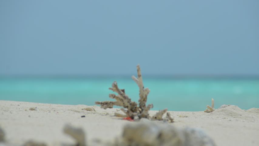 Viele der Insel der Malediven sind nicht bewohnt oder nicht bewohnbar. Teils sind sie nicht größer als ein Basketballspielfeld, oft sind sie nur Sanddünen, die Muscheln und abgestorbene Korallen dekorieren.