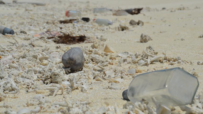 Sand, Sand, Sand: Er dominiert die Malediven. Keine Berge, folglich keine Steigung. Teilweise sind die Insel, wie diese Düne, nicht größer als ein Basketballfeld. Kein Bewuschs, sondern abgestorbene Korallen, Muscheln, Seesterne und ...  eine Hinterlassenschaft eines Piraten: eine leere Bulle Rum.