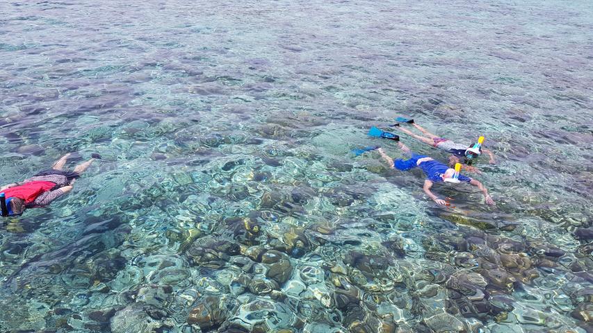 Wie in "Findet Nemo": Das Wasser des Indischen Ozeans ist rund um die Malediven derart klar, dass man Clownfische, Anemonen und alle Formen der Korallen ungetrübt sieht.