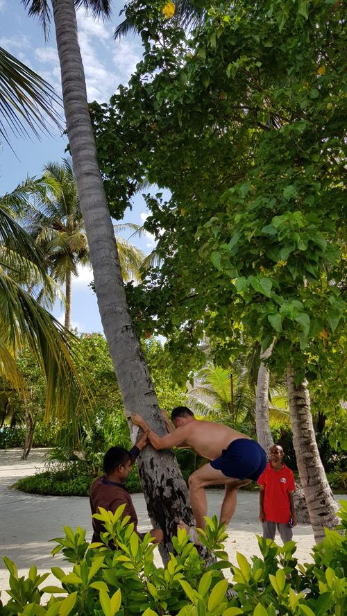 Unter all die Wassersport- und sportlichen Aktivitäten mischt sich auch eine landestypische Kuriosität: Die Einheimischen bringen ihren Gästen das Palmenklettern bei, barfuß und als einzige Hilfmittel dienen zwei Leinenfetzen.