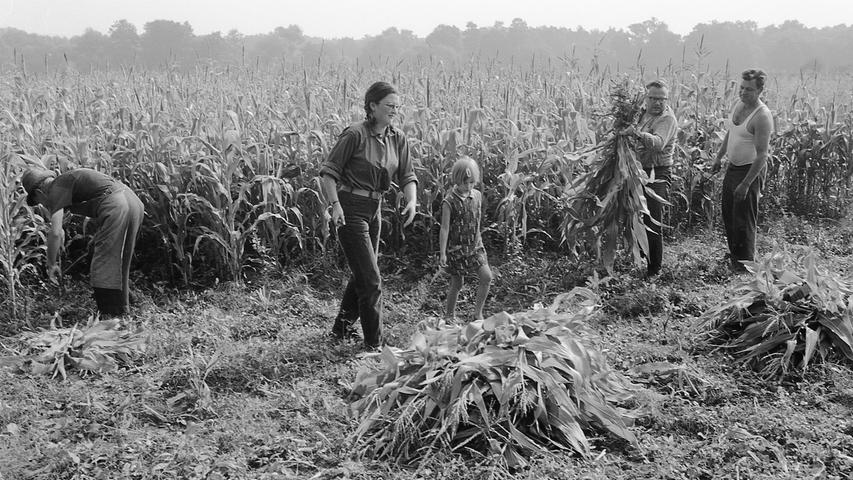 16. August 1969: Dieses Mal war Mord nicht gefragt – jedoch die Ernte!