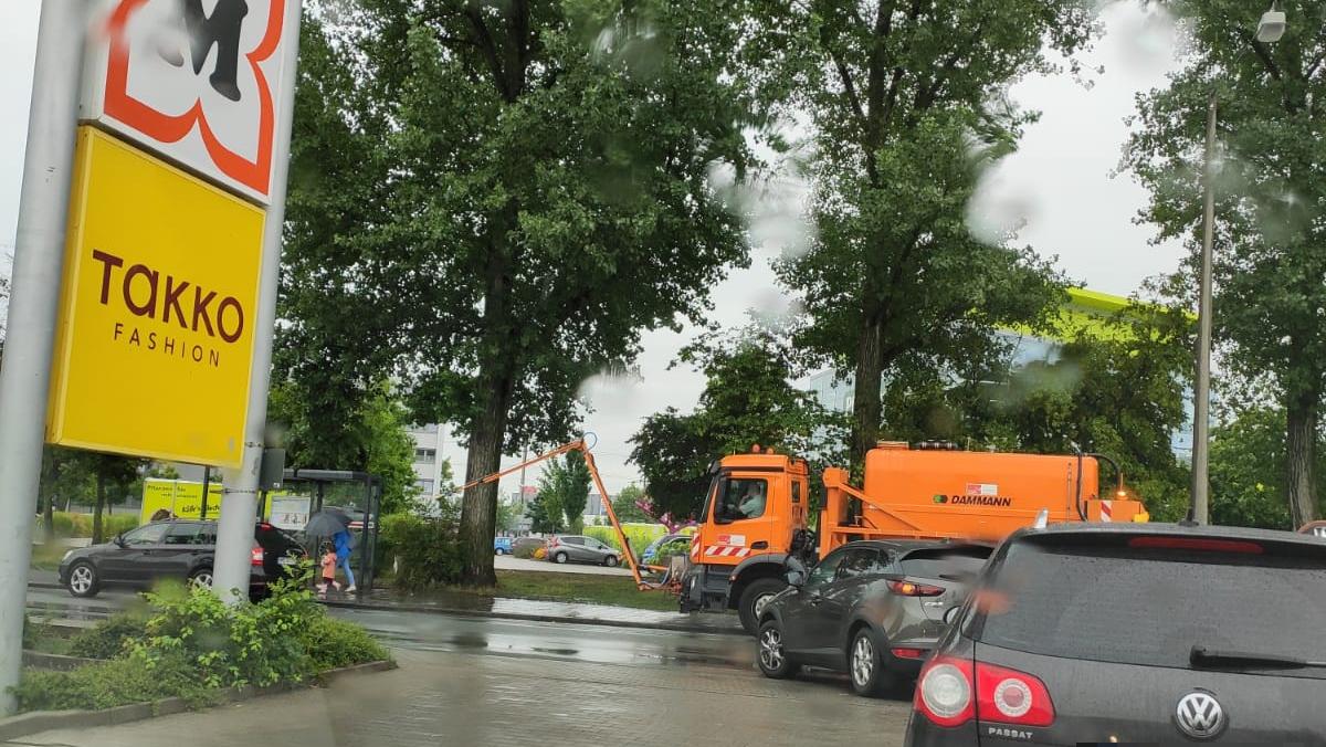 Deshalb gießt Sör Bäume auch im strömenden Regen