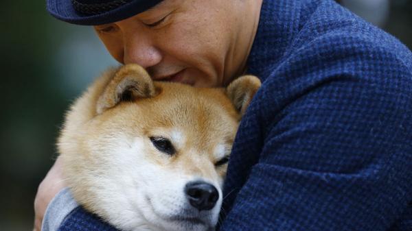 Auch Hunde können, wie wir Menschen, Eifersucht empfinden. Falls der Hund seinen Besitzer beim Fremdkuscheln erwischen sollte, kann er so richtig eifersüchtig werden. Also Obacht, mit wem man vor dem eigenen Hund schmust!