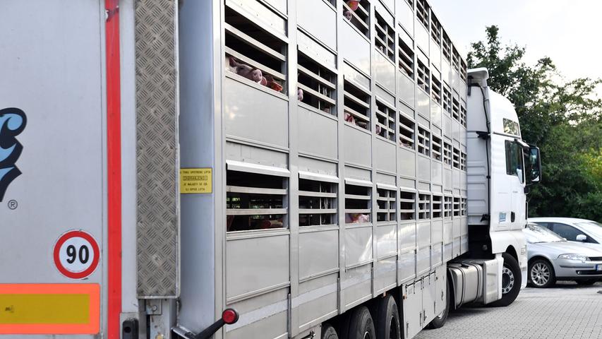Der Import lebender Tiere betrug im vergangenen Jahr 779.000 Tonnen Schlachtgewicht. Im Vergleich dazu wurden 546.000 Tonnen Schlachtgewicht in ein anderes Land exportiert. Die Schlachtmenge von Fleisch in Deutschland betrug im Jahr 2018 etwa 8,7 Millionen Tonnen.