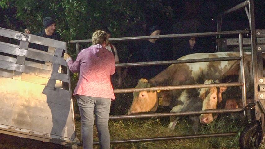 Kreis Ansbach: Rinder sterben bei Bauernhofsbrand - Hoher Sachschaden