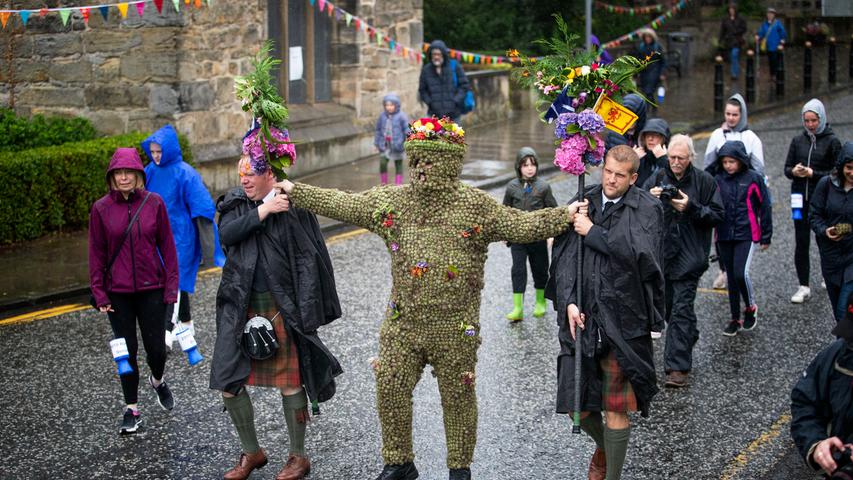 Hier hat sich aber jemand ordentlich in die Nesseln gesetzt. Die nach einer Klettenart benannte Burryman-Parade findet jährlich in South Queensferry, nahe dem schottischen Edinburg statt. Das Kostüm des Burryman ist vollständig mit Kletten besetzt.