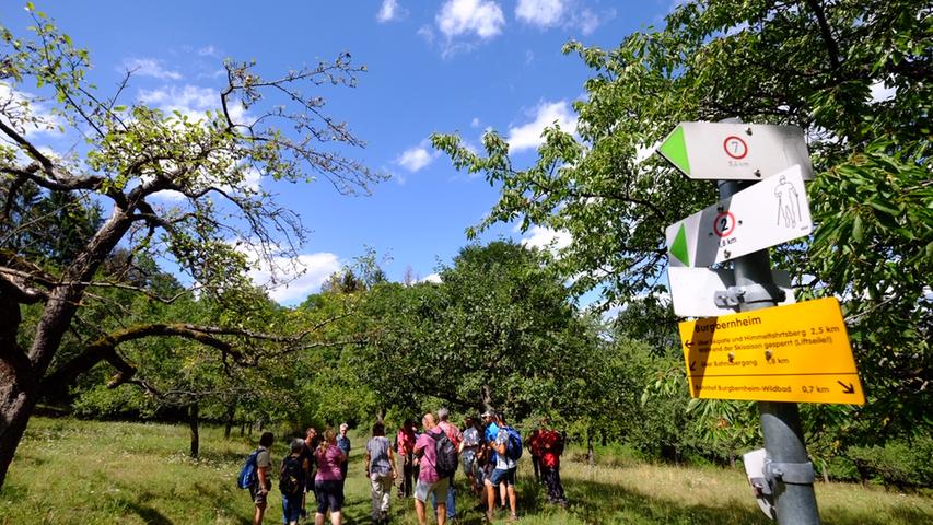 Apfel, Bach und Wald: Rund 40 NN-Leser beim Wandertag rund um Burgbernheim