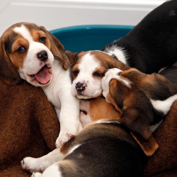 weitere interessante Themen: