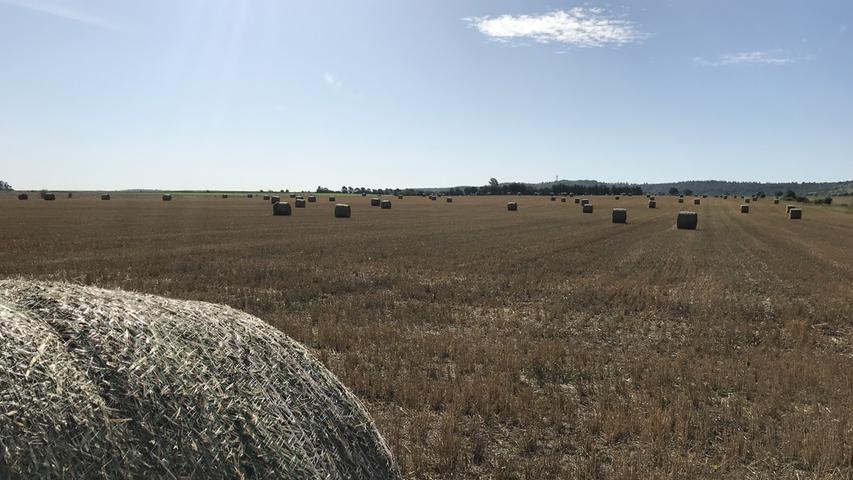 Das Getreide ist abgeerntet - nur riesige Strohballen liegen noch auf den Feldern.