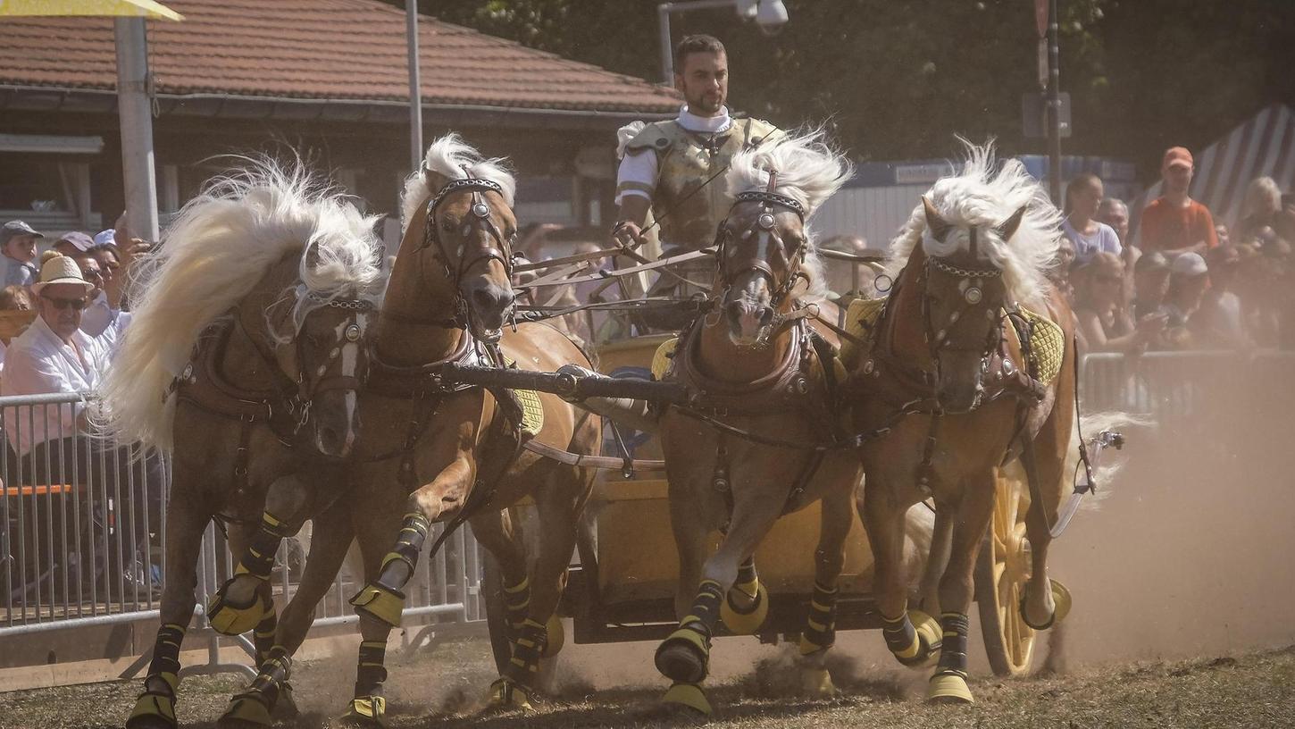 Jura-Volksfest 2019 Neumarkt: Trommelwirbel von Pferdehufen