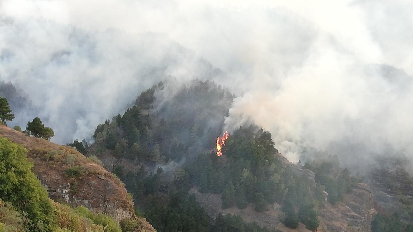 Das Feuer breitete sich innerhalb kürzester Zeit auf eine Fläche von mehreren hundert Hektar aus.